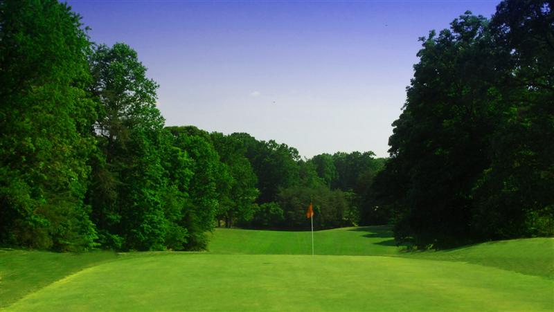 No. 14 green